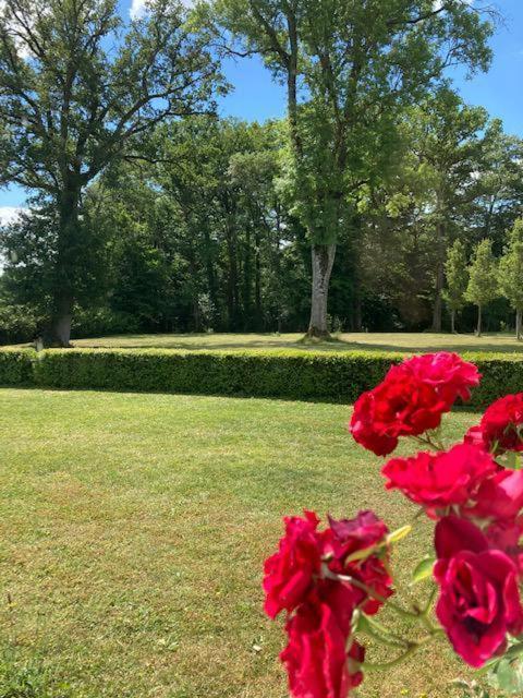 Domaine De La Vaudouriere Villa Lunay Cameră foto