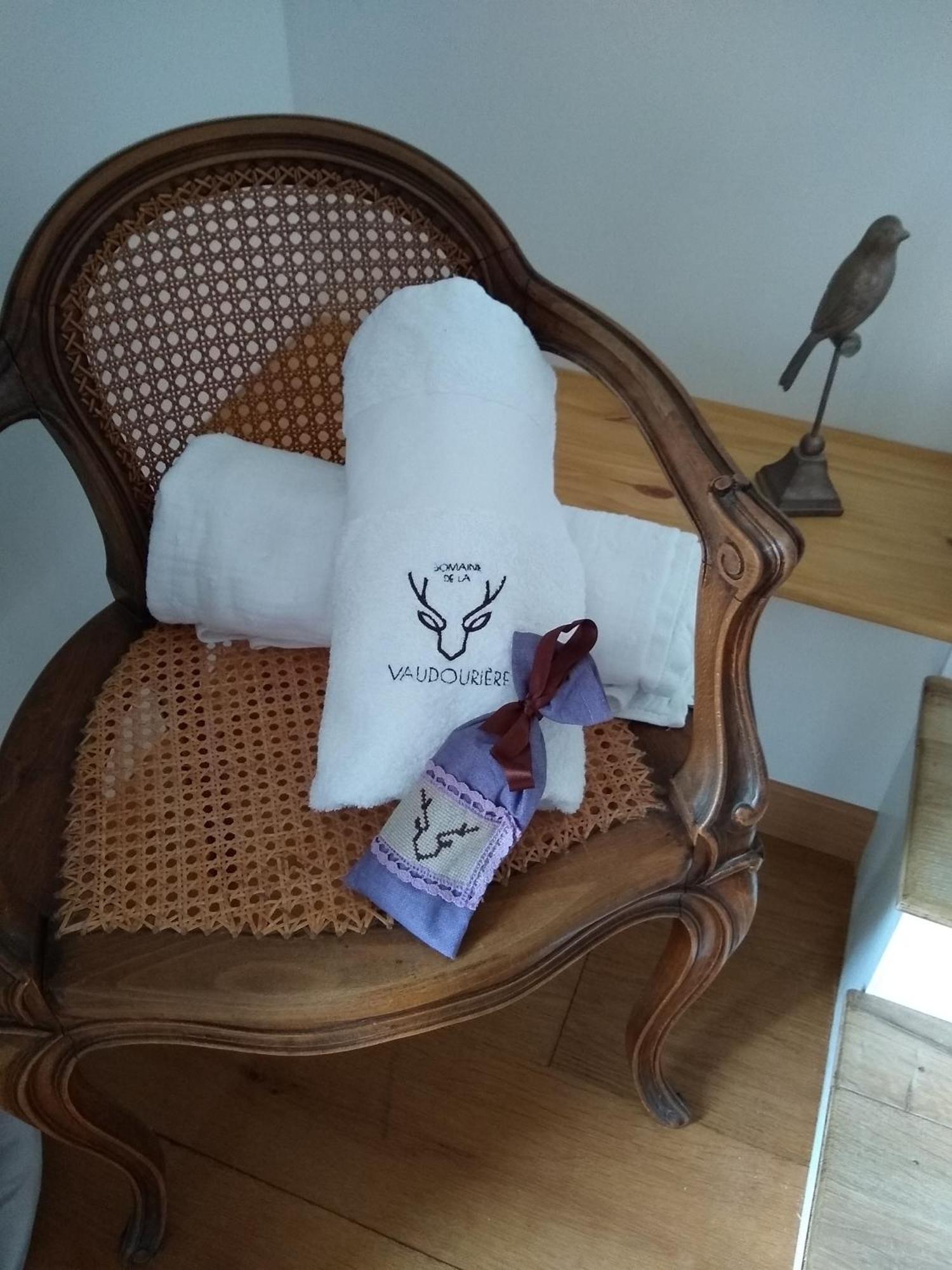 Domaine De La Vaudouriere Villa Lunay Cameră foto